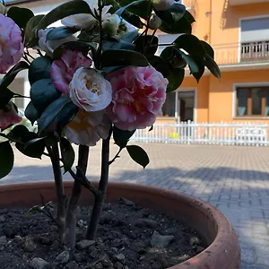 Ca Del Fili Hébergement de vacances Lenno